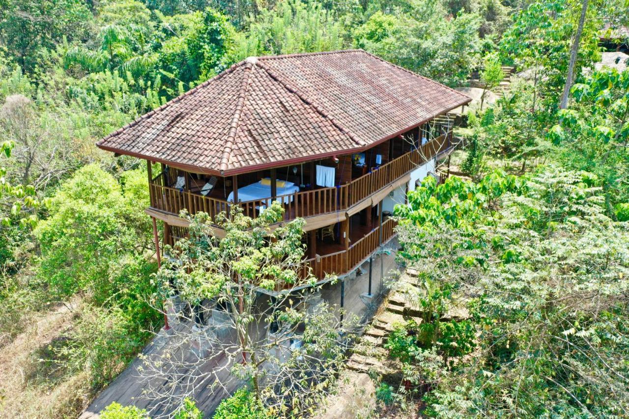 Wanakaset Forest Glamping Kitulgala Esterno foto