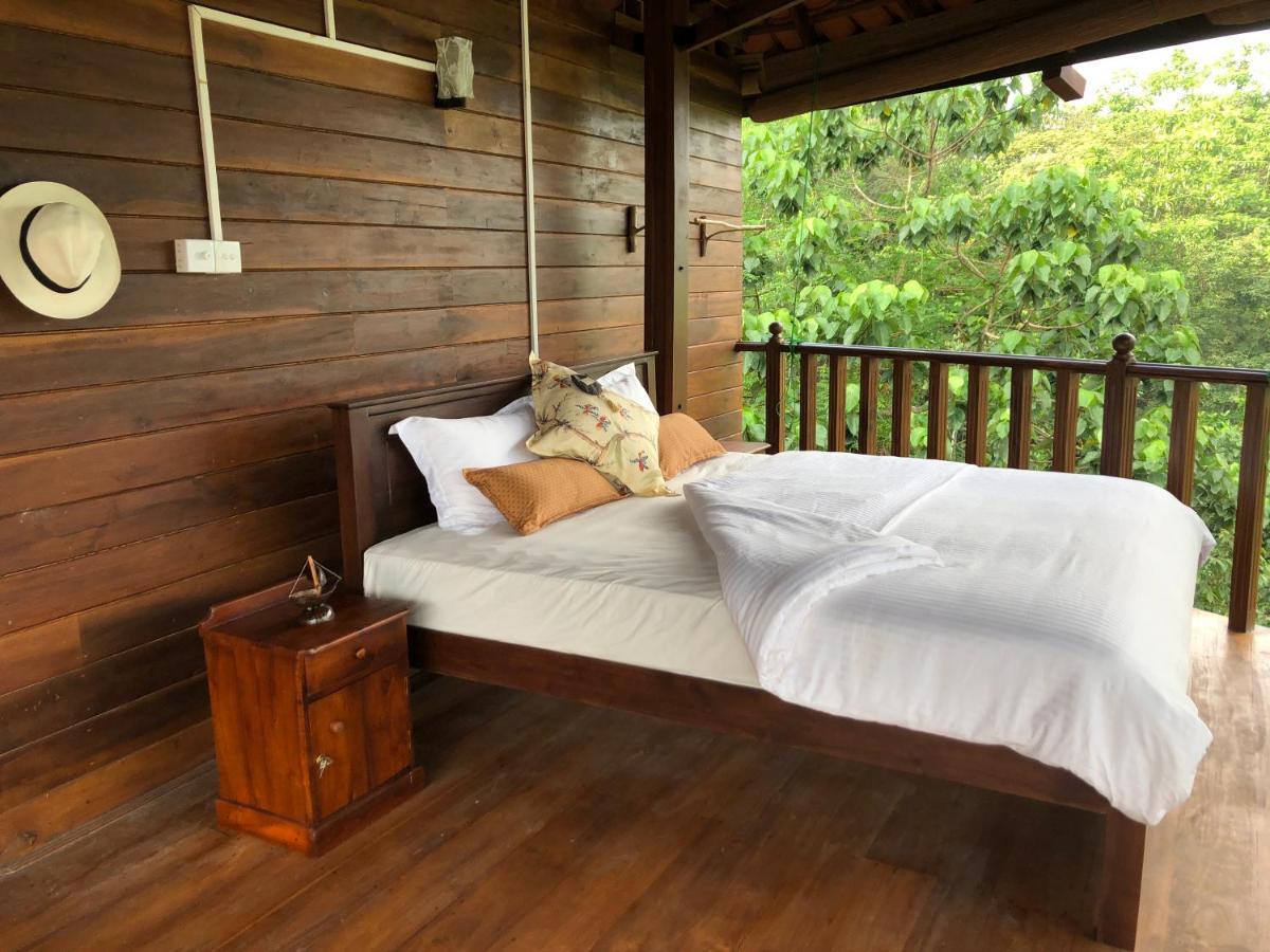 Wanakaset Forest Glamping Kitulgala Esterno foto