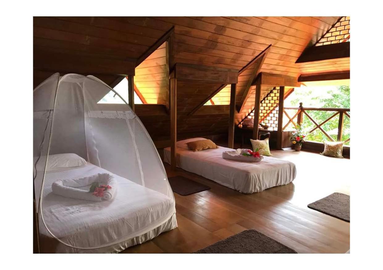 Wanakaset Forest Glamping Kitulgala Esterno foto