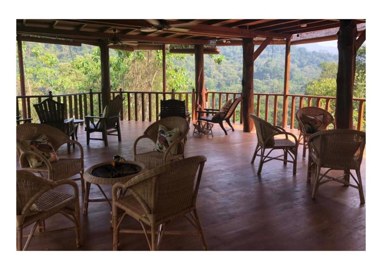 Wanakaset Forest Glamping Kitulgala Esterno foto