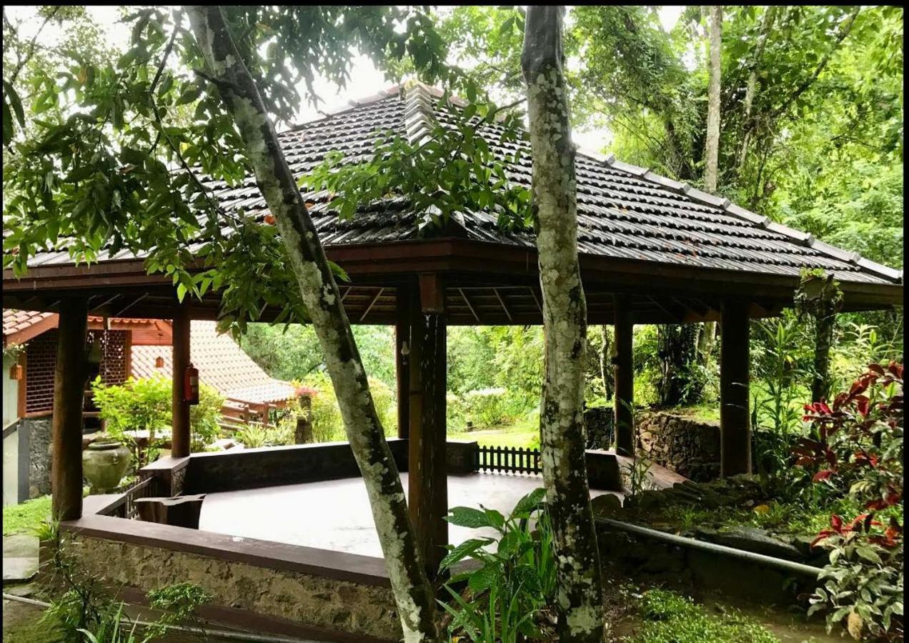 Wanakaset Forest Glamping Kitulgala Esterno foto