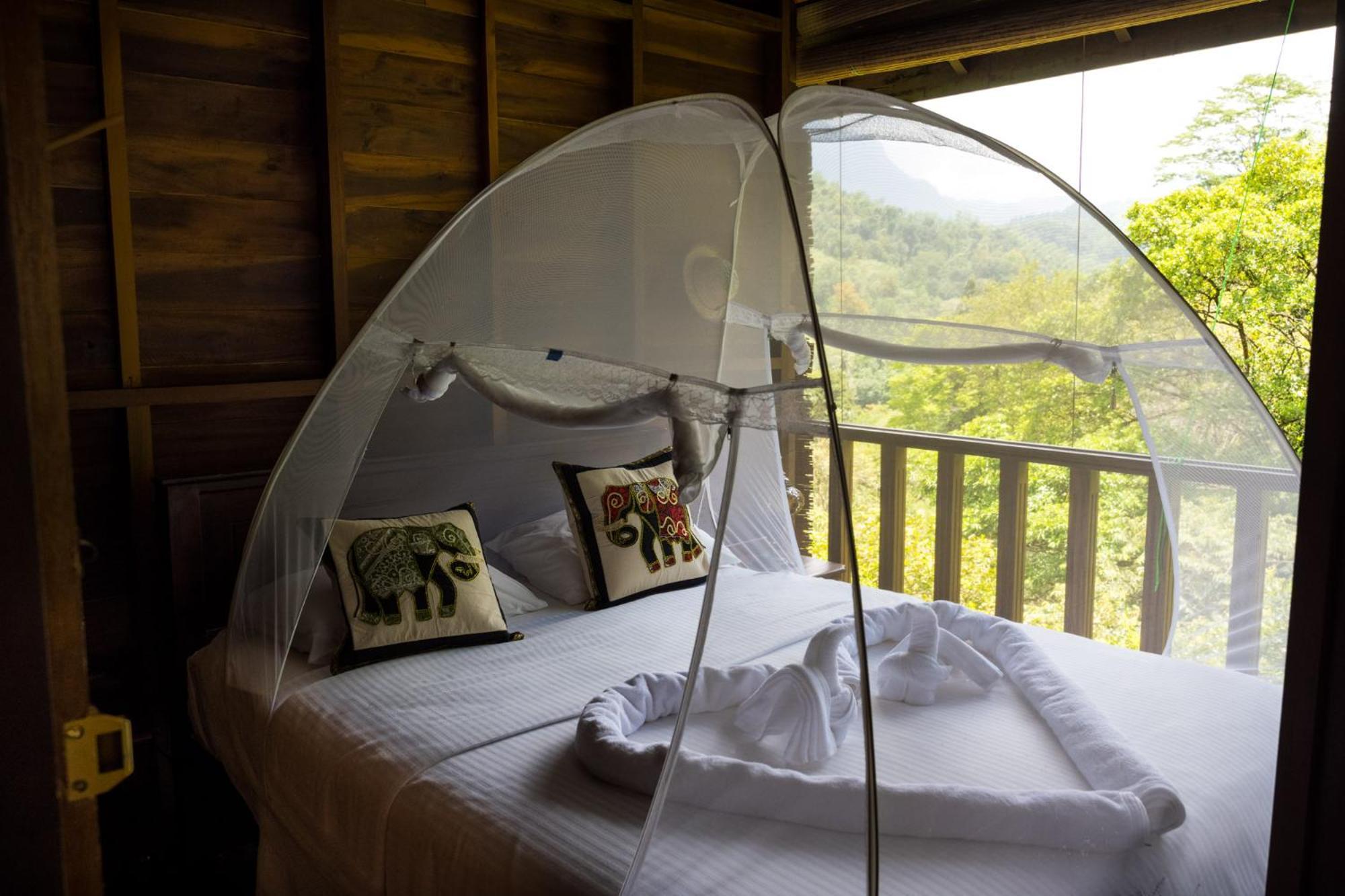 Wanakaset Forest Glamping Kitulgala Esterno foto