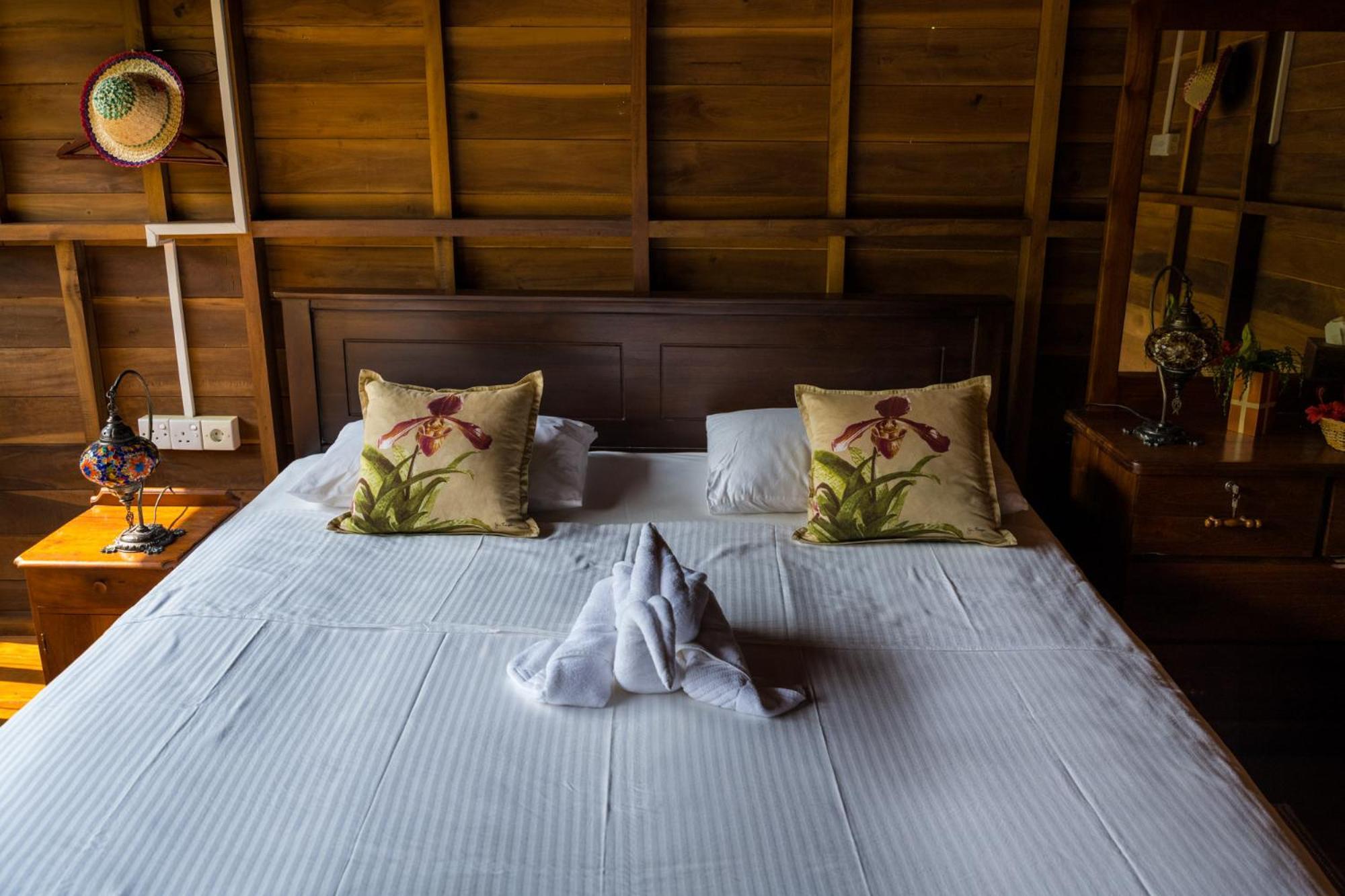Wanakaset Forest Glamping Kitulgala Esterno foto