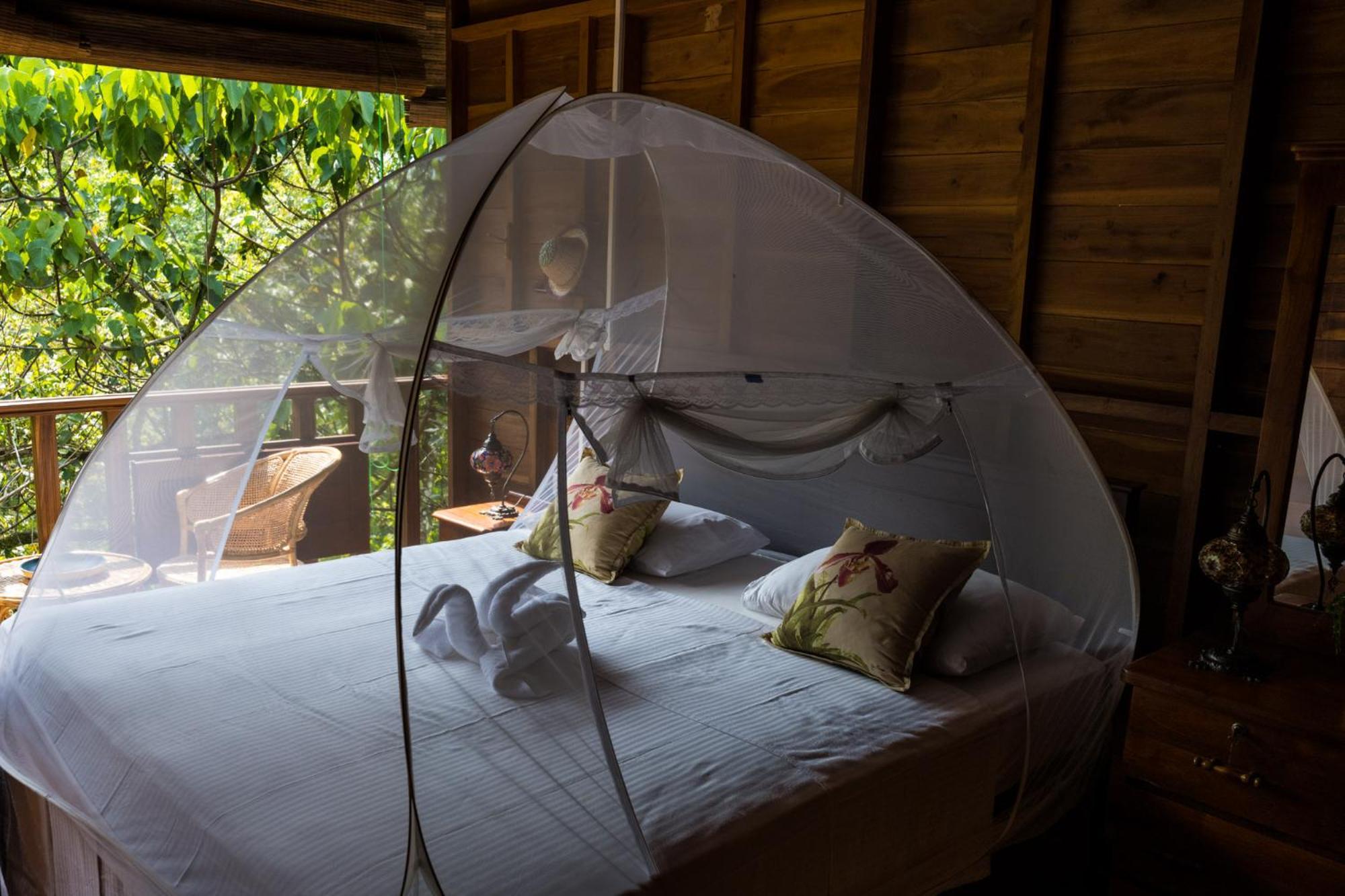 Wanakaset Forest Glamping Kitulgala Esterno foto