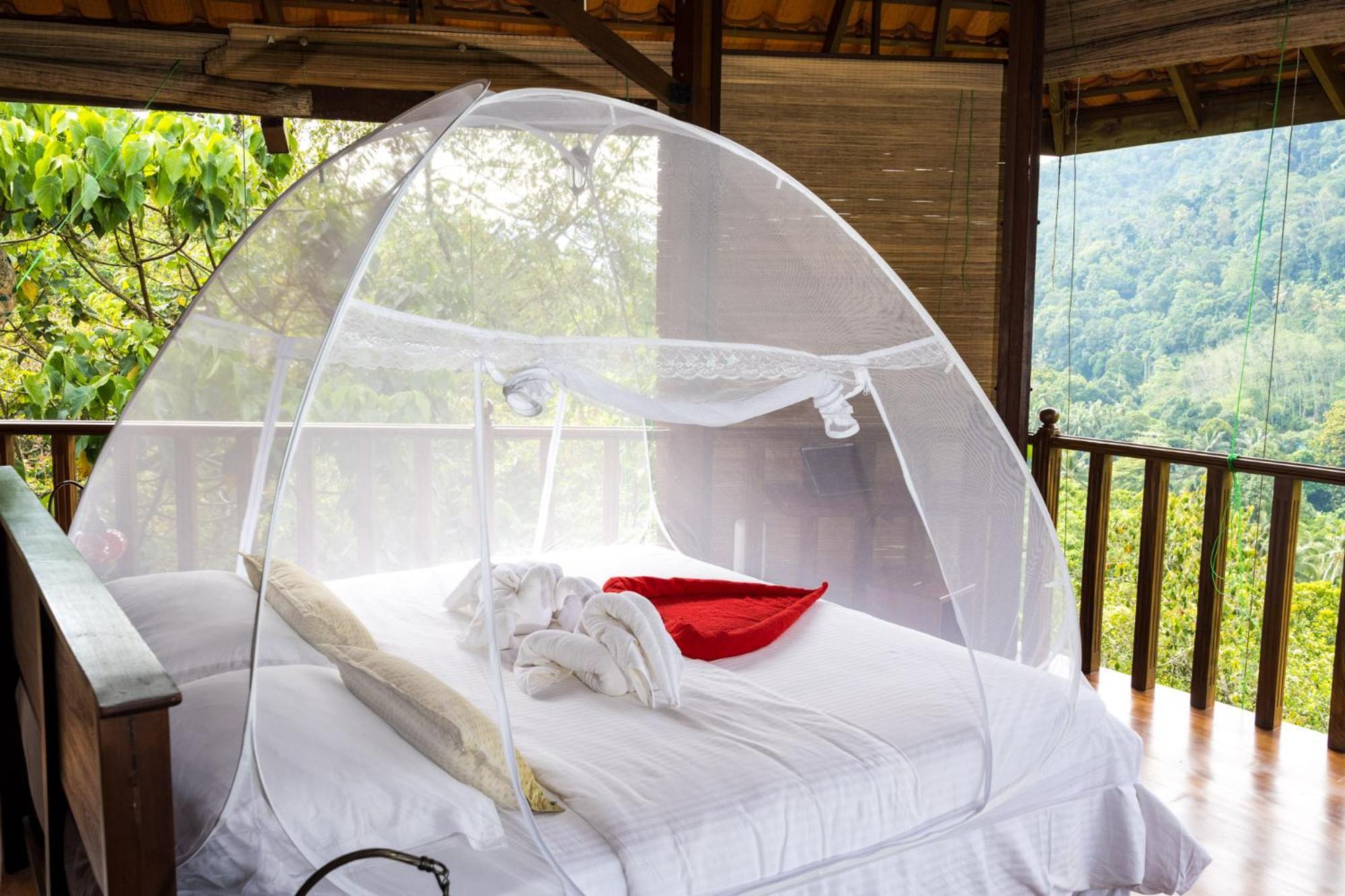 Wanakaset Forest Glamping Kitulgala Esterno foto