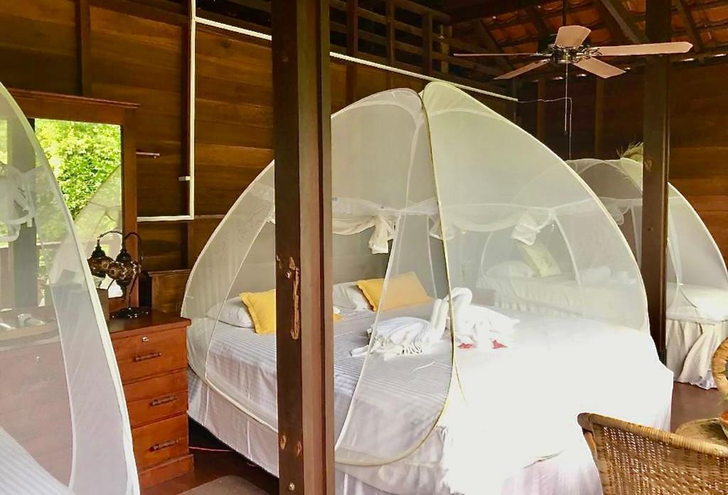 Wanakaset Forest Glamping Kitulgala Esterno foto
