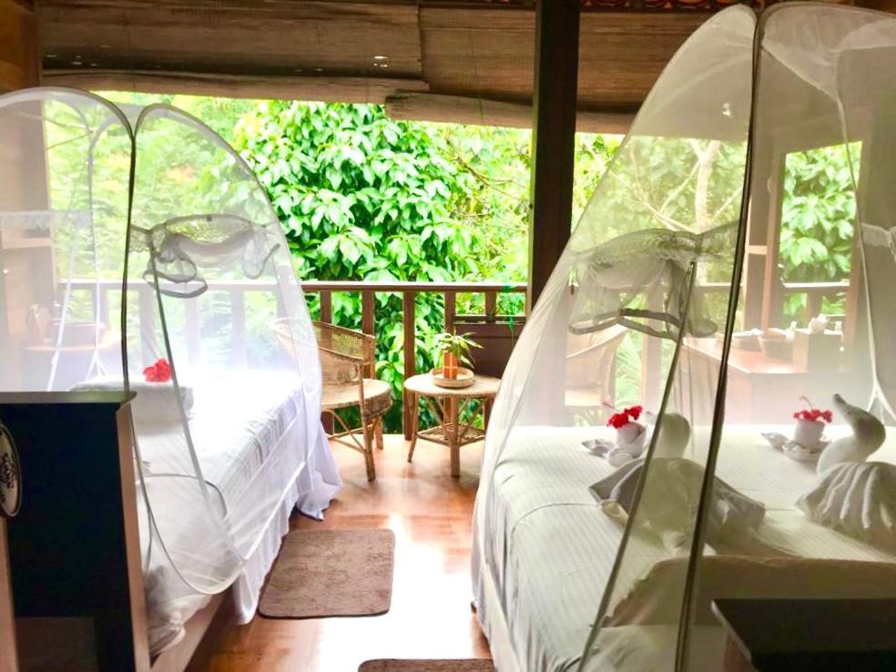 Wanakaset Forest Glamping Kitulgala Esterno foto