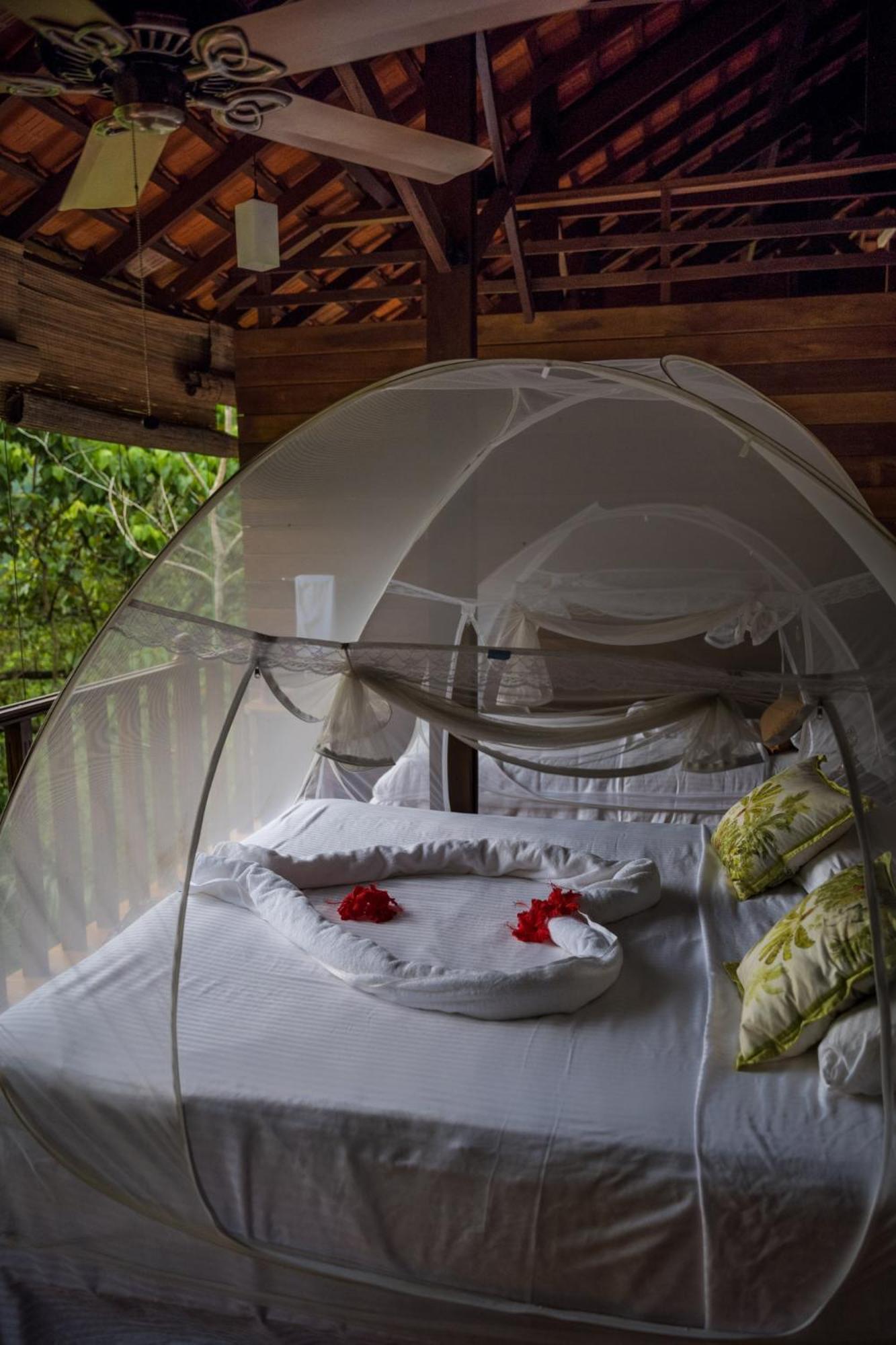 Wanakaset Forest Glamping Kitulgala Esterno foto