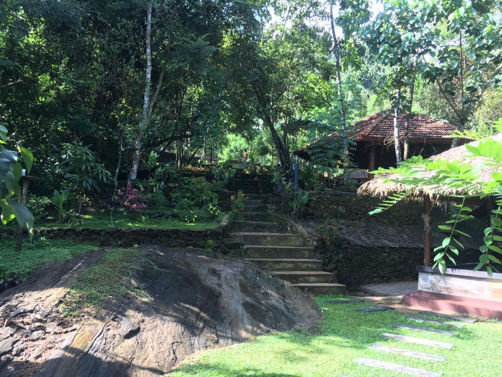 Wanakaset Forest Glamping Kitulgala Esterno foto