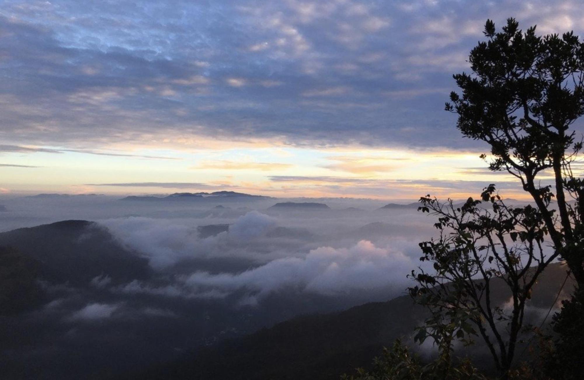 Wanakaset Forest Glamping Kitulgala Esterno foto