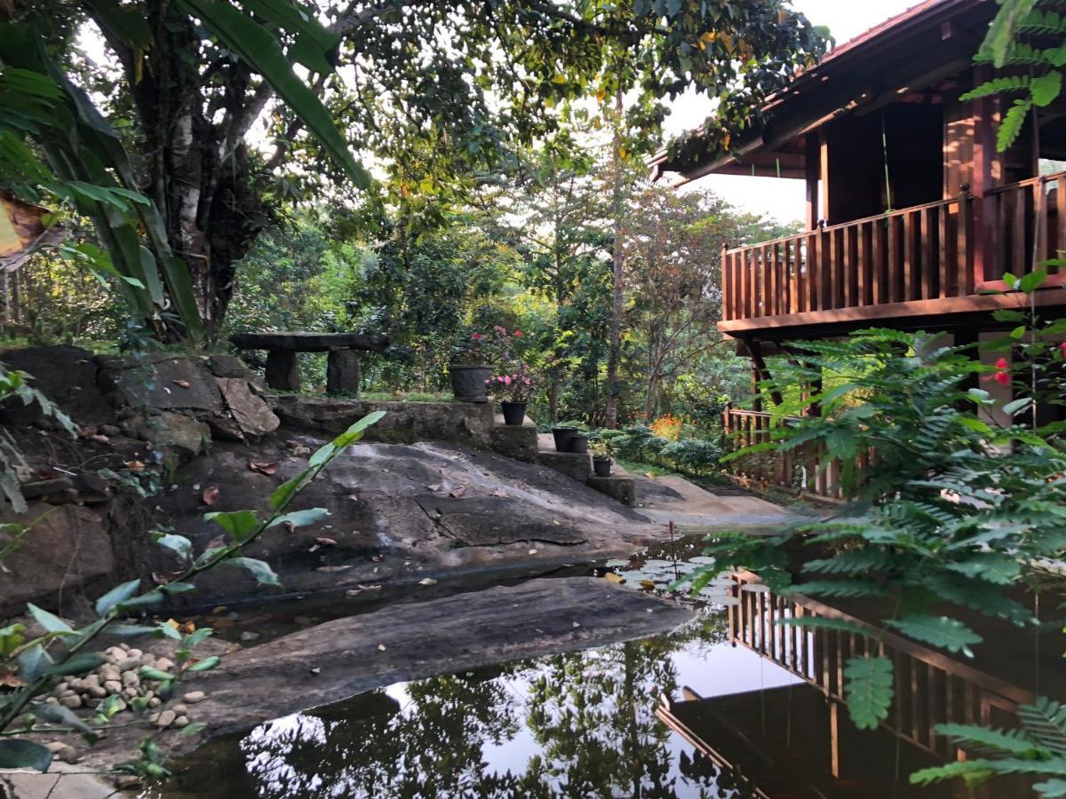 Wanakaset Forest Glamping Kitulgala Esterno foto