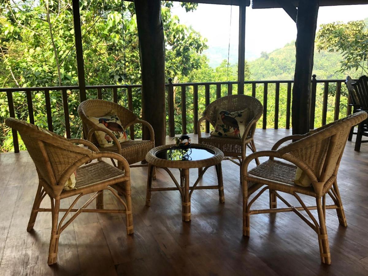 Wanakaset Forest Glamping Kitulgala Esterno foto